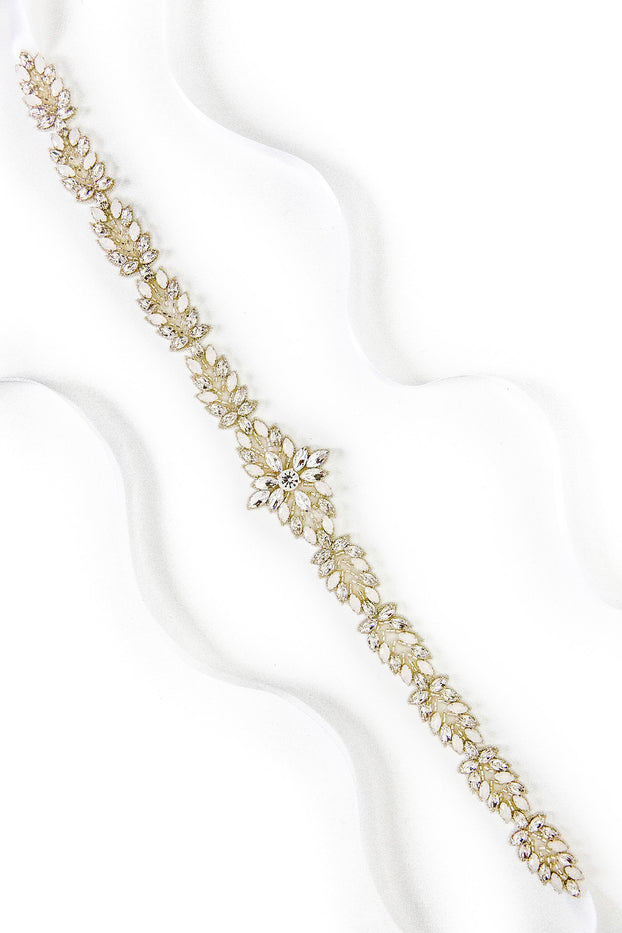ASTER BELT