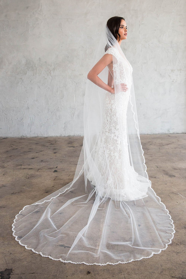 CYRILLE CATHEDRAL VEIL - SCALLOPED LACE 20" FROM COMB