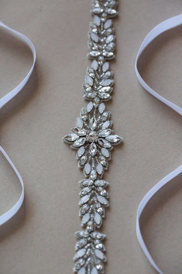 ASTER BELT