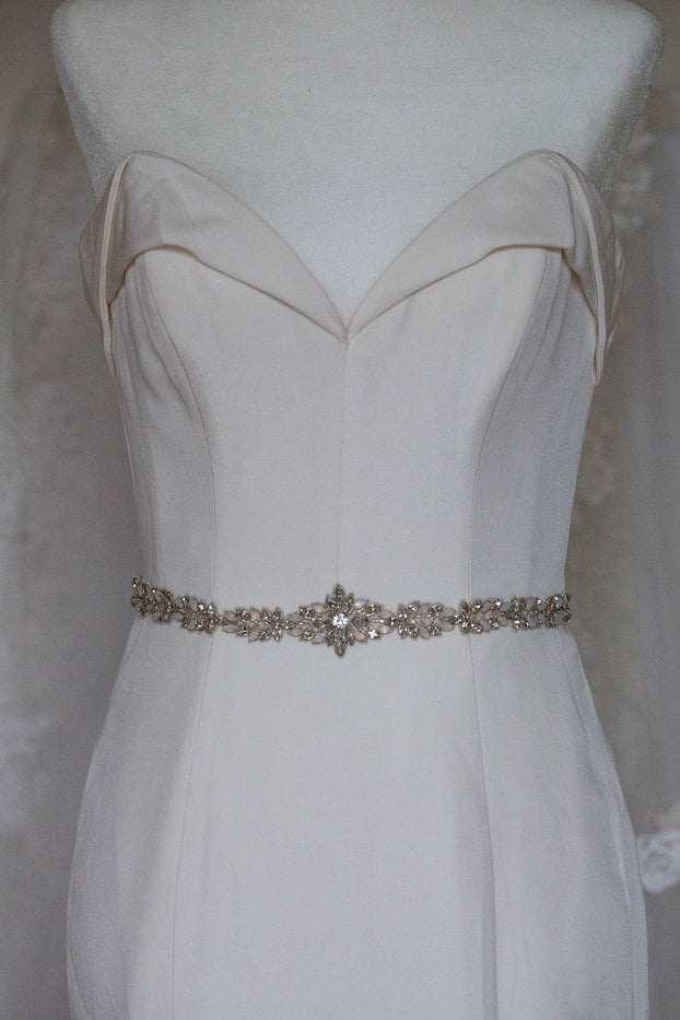 ASTER BELT