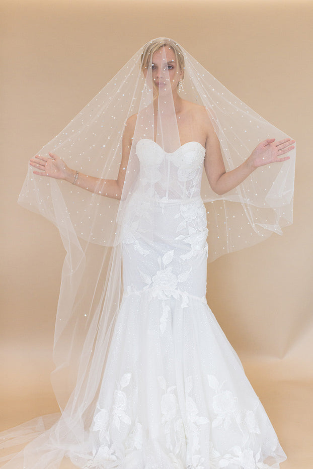 Layana Cathedral Veil with Blusher & Cascading Raindrop Pearls & Crystals Retail